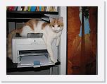 Immagine 059 * 2592 x 1944 * (1.13MB)